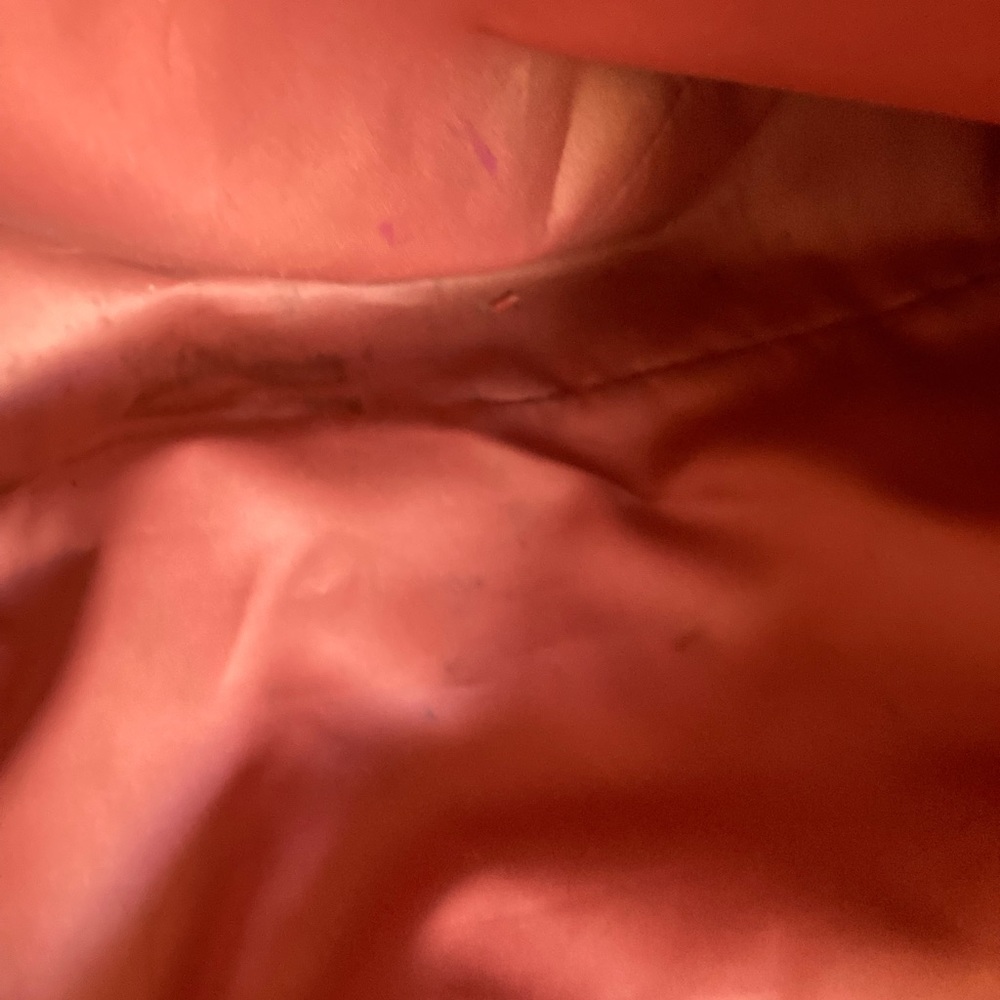 Coach Audrey 2011 Flagship Embossed Python Exotic… - image 6